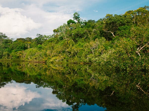 Photo du fleuve Amazonie