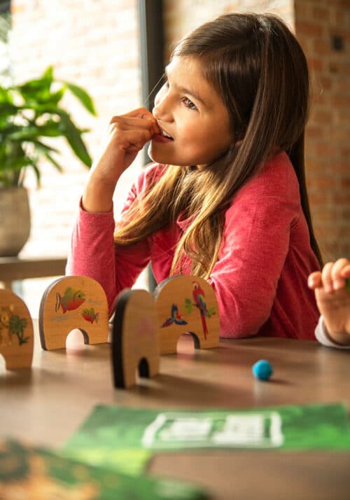 Durable et sûr Jeux de mémoire en bois pour enfants Jeu de