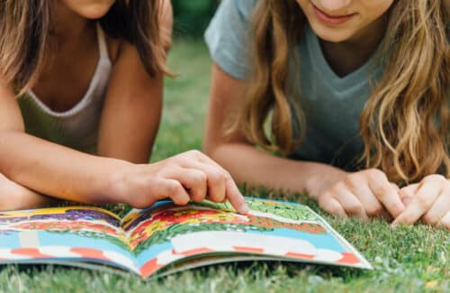 Activités sur le carnet du potager