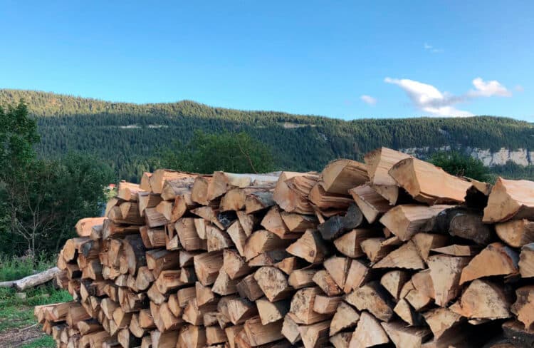 Bois coupé dans les montagnes du Jura