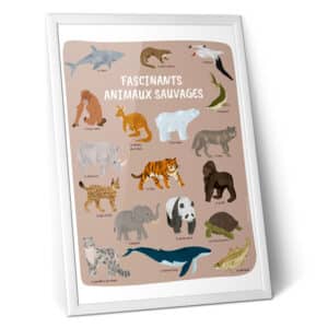 Affiche des animaux à protéger