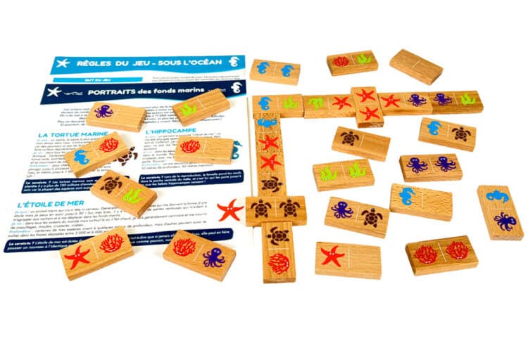 Dominos en bois : des jeux essentiels pour les petits - Le blog de L'îlot  éducatif