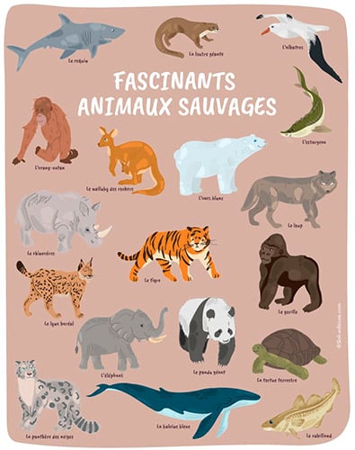 Affiche sur les animaux en danger