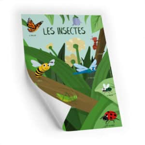 Affiche de l'expo sur les insectes