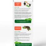 Exposition sur l'Amazonie