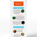 Exposition sur les insectes