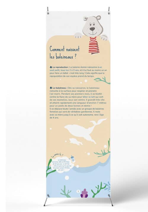 Expo : A la découverte des baleines