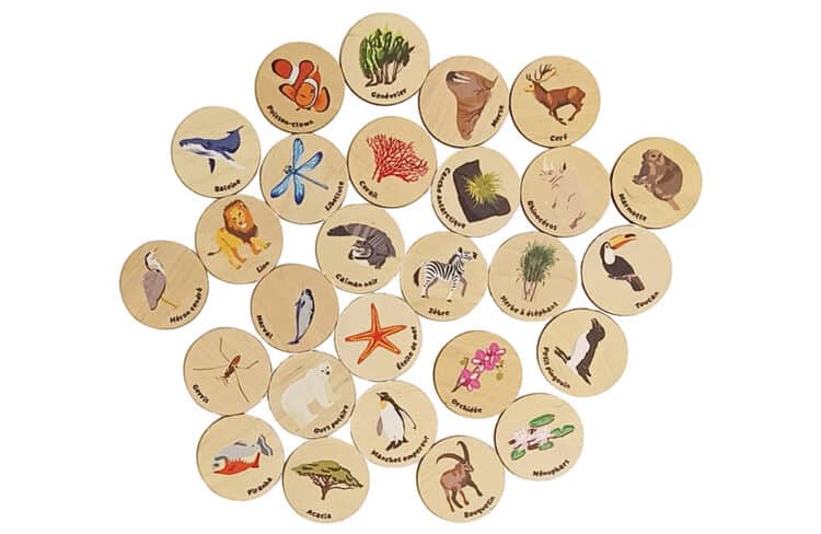 Jetons géants en bois